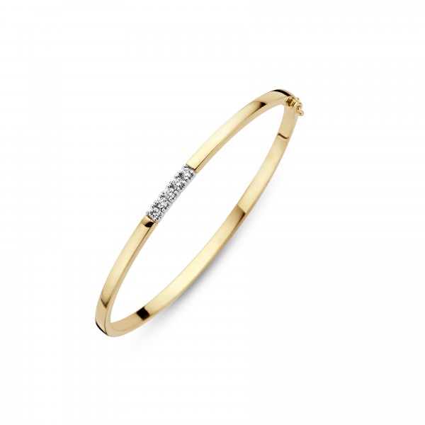 Montgomery reptielen Matron Briljant - Gouden Memoire Slavenarmband 5x0,05crt Diamant | Armband |  Sieraden | Juwelier Kremer