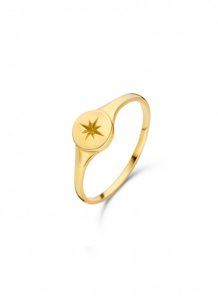 Jackie - Gouden Ring JKR20.072.52 Star Signet